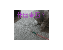 676876128