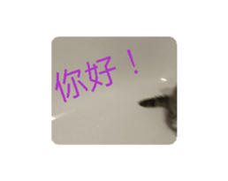 676876129