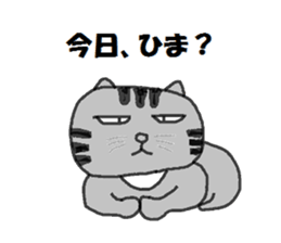 6768848