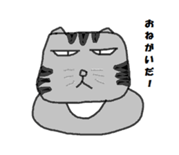 6768853
