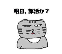 6768885