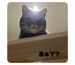 676970271