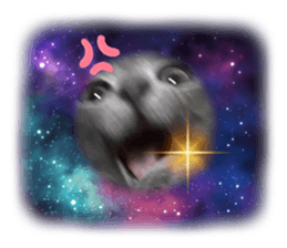 676984524