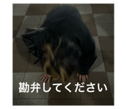 676993091