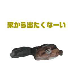 677000868