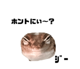677000883