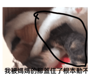 677006355