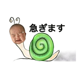 677083254