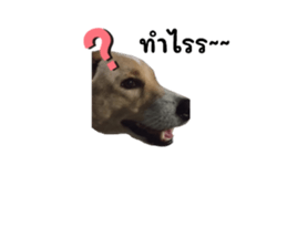 677085846