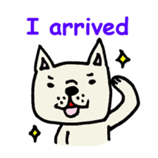 677116