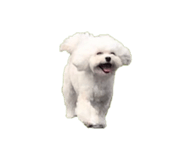 677127926