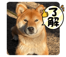 677128937