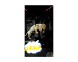 677129082