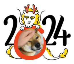 677168762