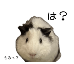 677209608