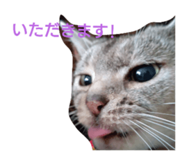677227808