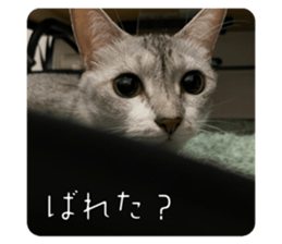 677232203