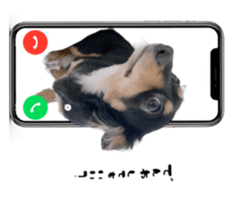 677234469
