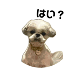 677235083