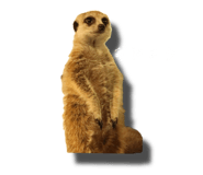 677248990