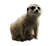 677248992