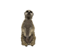 677248994