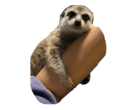 677248995