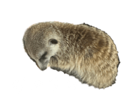677248996