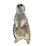 677248998