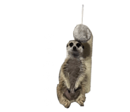 677249000