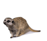 677249002