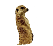 677249003