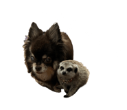 677249004