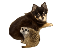 677249005