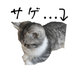 677255803