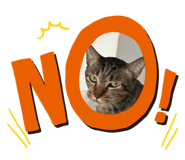677269812
