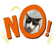 677269825