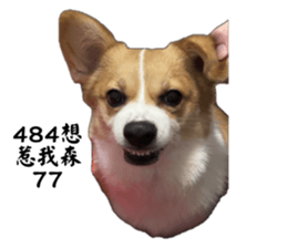 677272190
