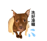677282630