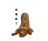 677282634