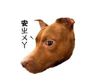 677282637