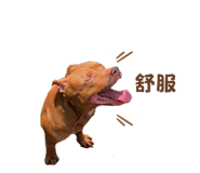 677282641
