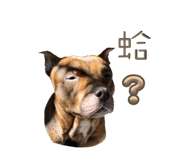 677282642
