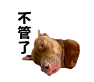 677282644