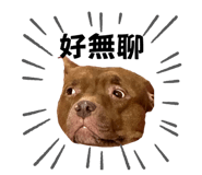 677282645