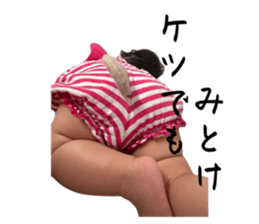 677356548