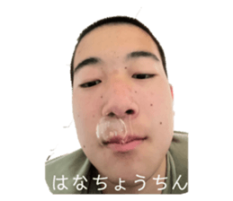 677363117