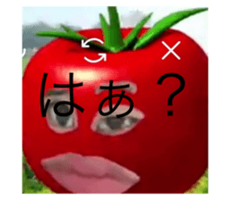 677363516