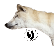 677392721