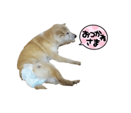 677392723